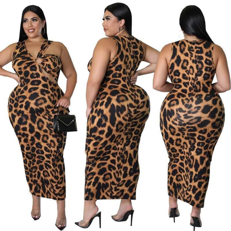 Sexy Leopard Dress